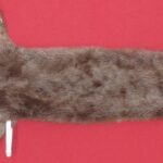 BUY TANNED FUR : OTTER - TAXIDERMY QUALITY