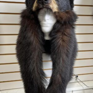 BLACK BEAR