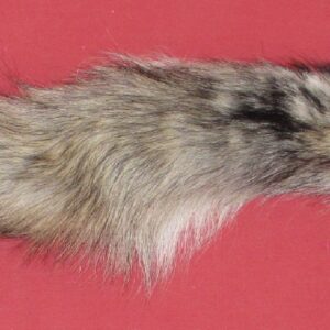 WOLF-TAIL