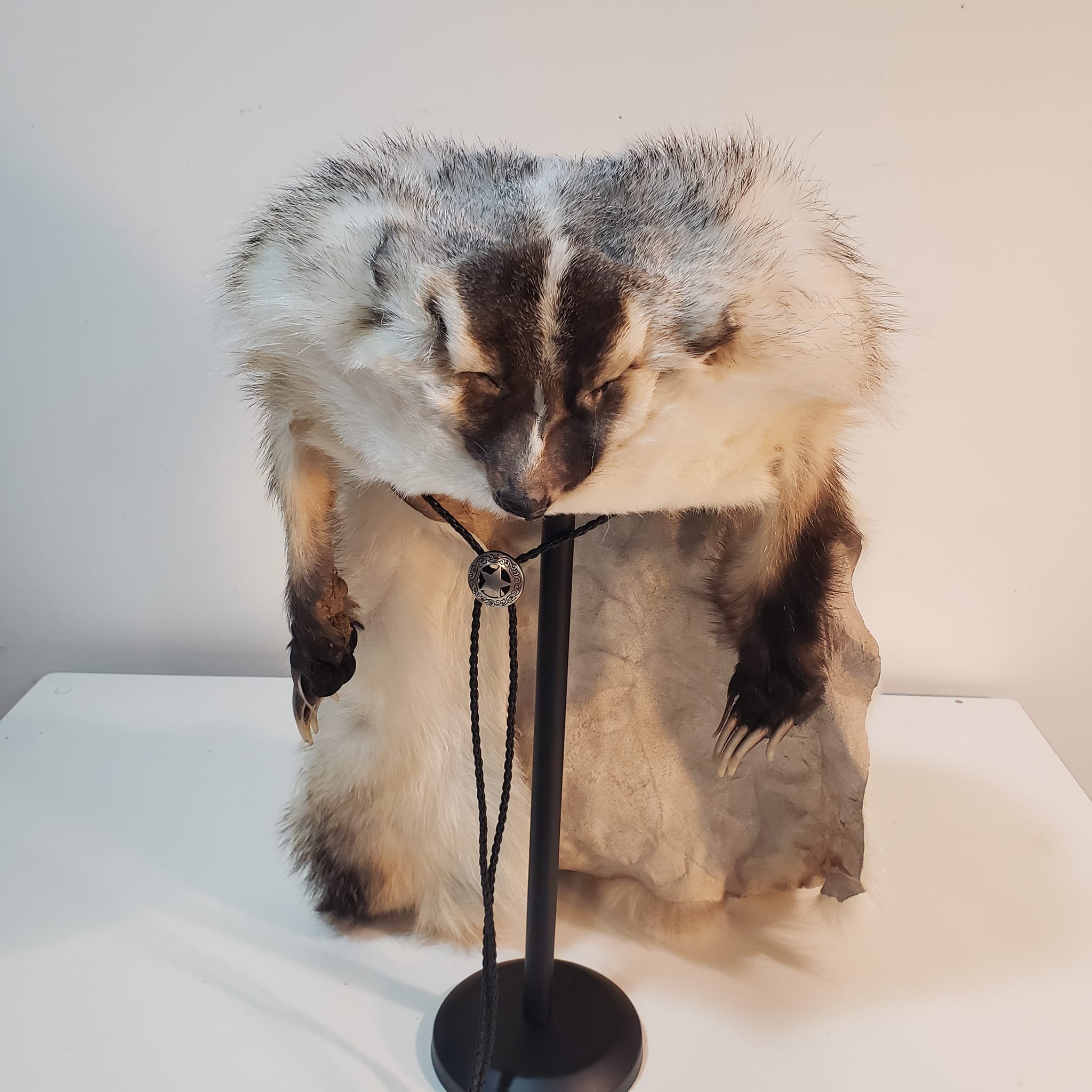 BADGER