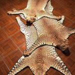 Leopard Rug