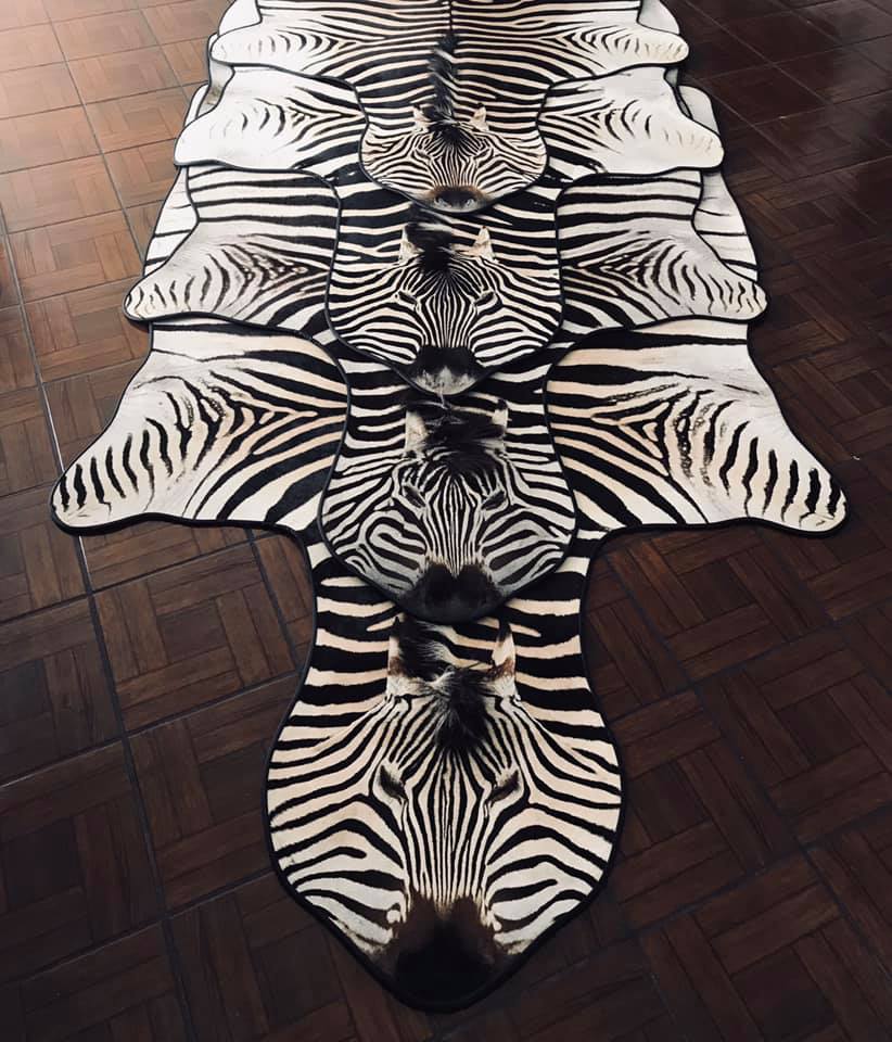 ZEBRA RUG
