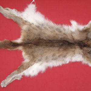 BUY TANNED COUGAR HIDE