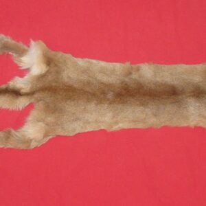 BUY TANNED COUGAR HIDE