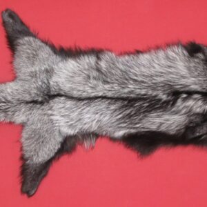 SILVER FOX