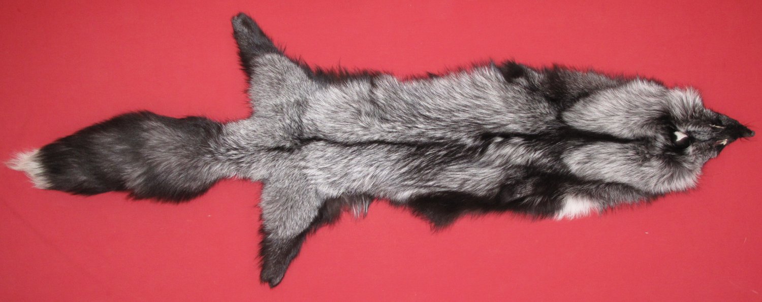 SILVER FOX