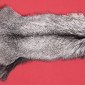 SILVER FOX