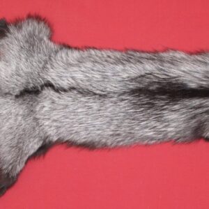 SILVER FOX