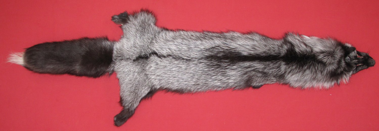 SILVER FOX
