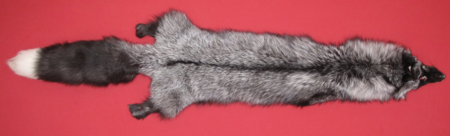SILVER FOX