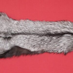 SILVER FOX