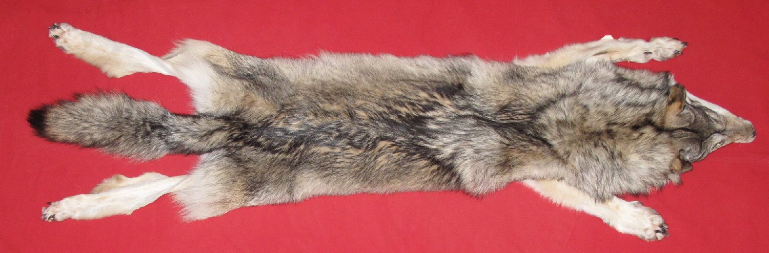 Wolf Pelt