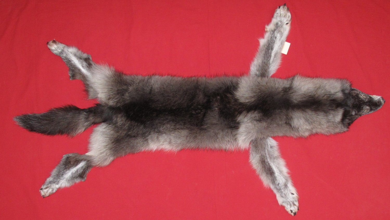 Wolf Pelt