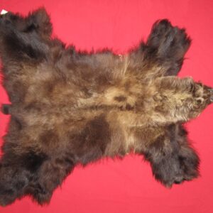 GRIZZLY BEAR