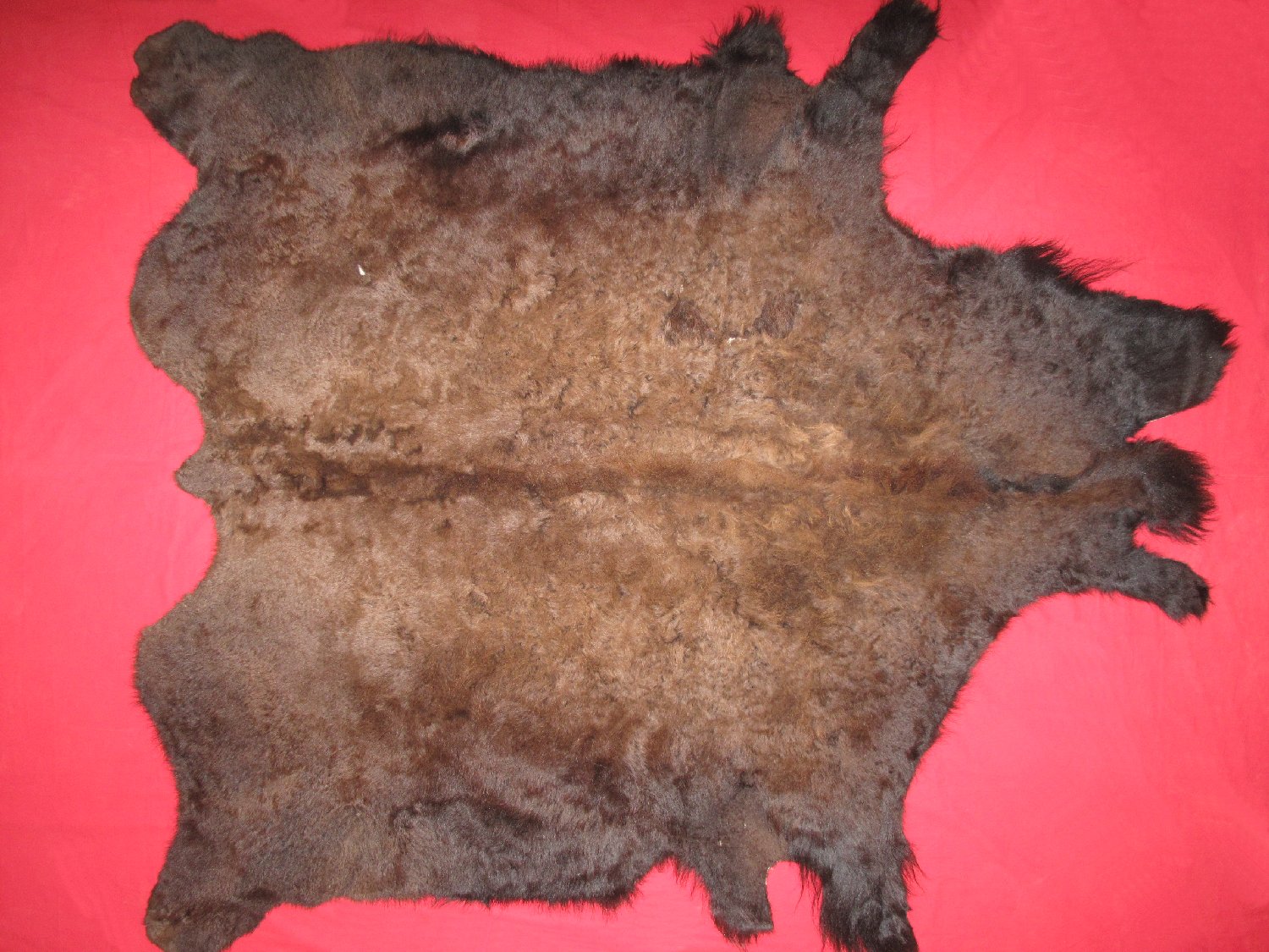 BUFFALO