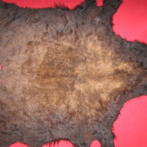 BUFFALO