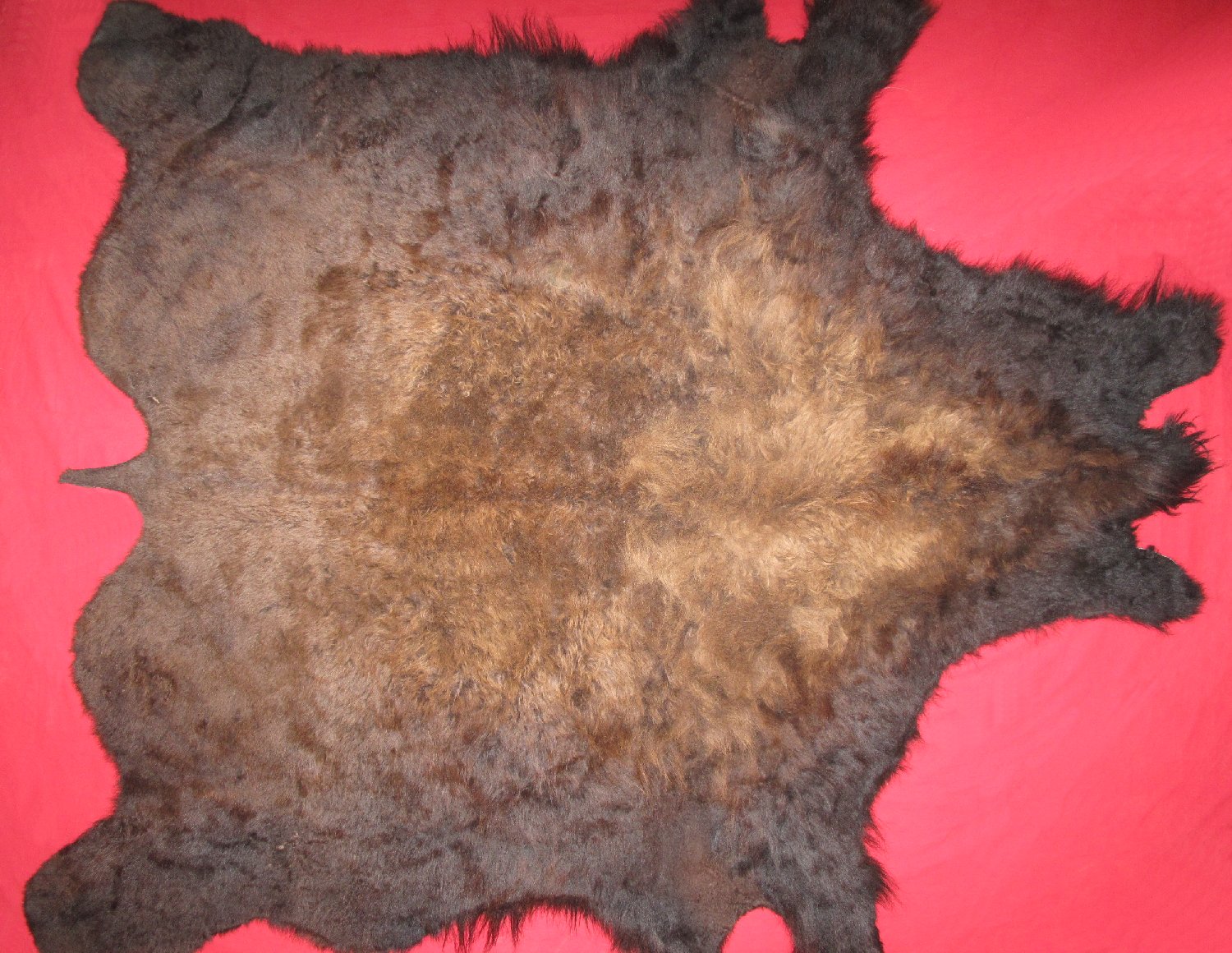 BUFFALO