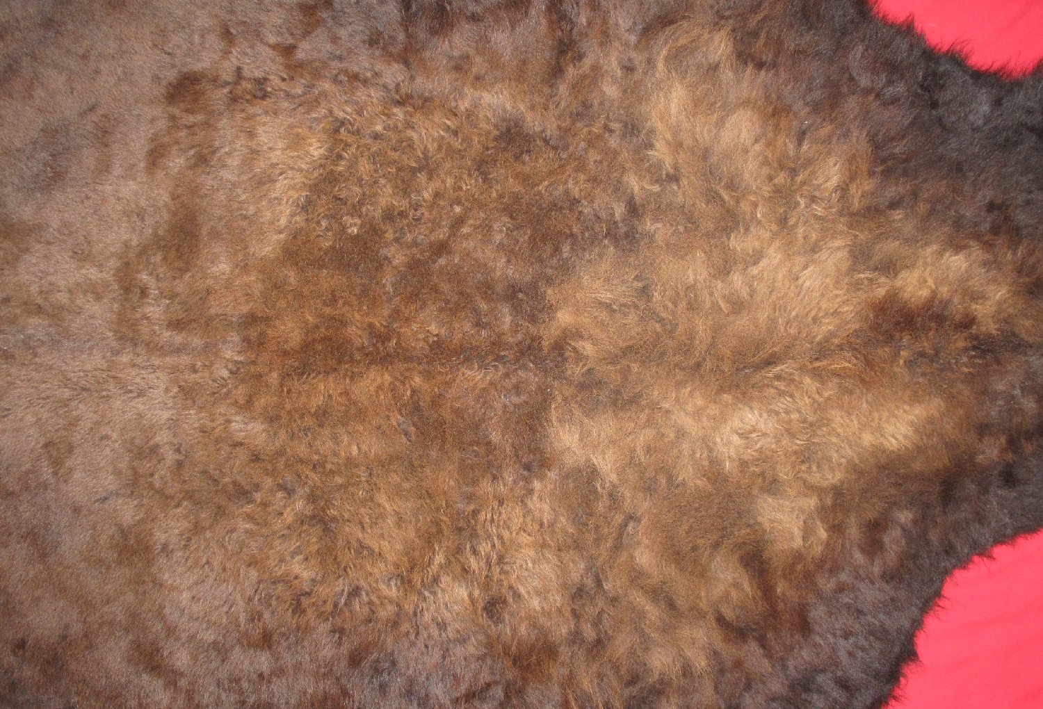 BUFFALO