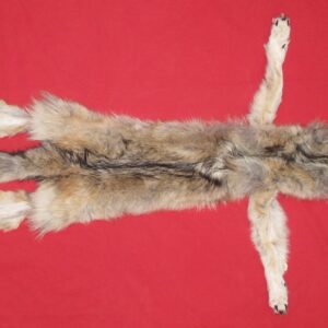 WOLF PELT