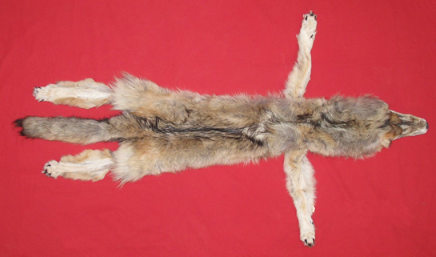 WOLF PELT
