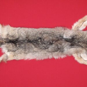 wolf pelt