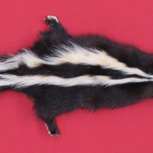 SKUNK