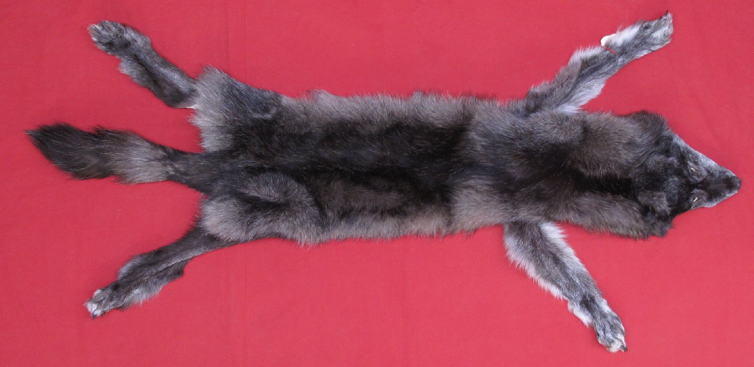 WOLF