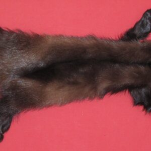 wolverine