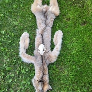 lynx pelt