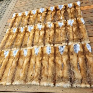 Red Fox Fur